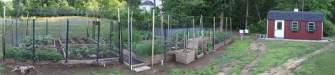 Garden20120604